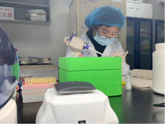 beat365官网:米囊花(图1) beat365亚洲体育官方网站