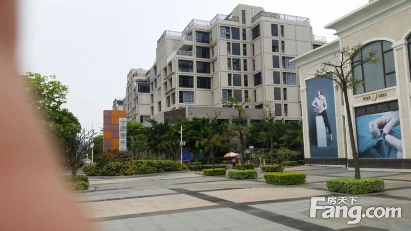 beat365官网:米囊花(图3) beat365官网