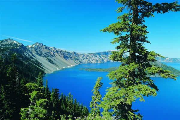 beat·365_
论文提纲查重吗 哪些部门容易被查重?(图2) beat·365_
论文提纲查重吗 哪些部门容易被查重?(图2)