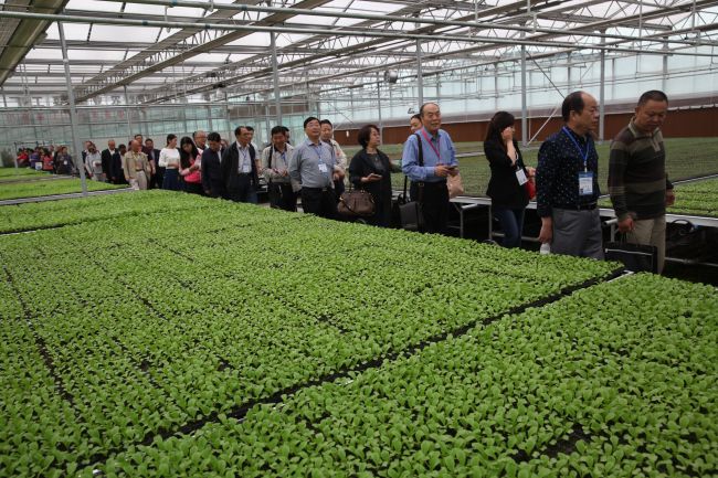 宁波风味豆瓣酱的做法_beat365官网(图1) beat·365