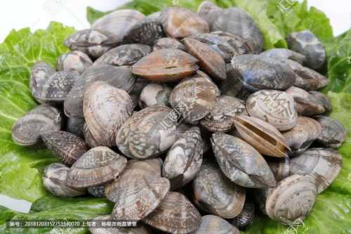 beat365亚洲体育官方网站