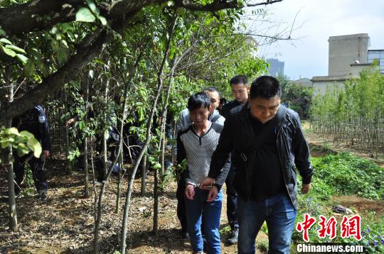 咖喱土豆的做法:beat365亚洲体育官方网站(图3) beat365亚洲体育官方网站