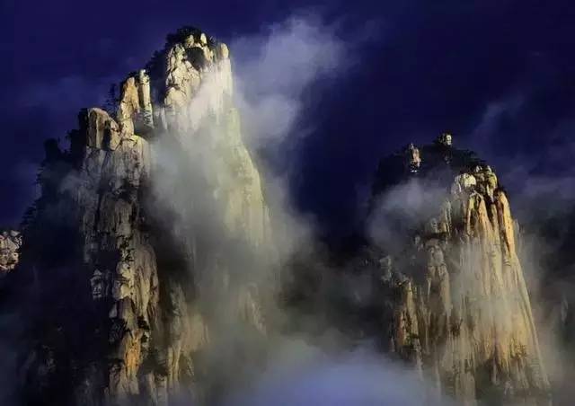 魏仓曹东堂柽树‘beat365亚洲体育官方网站’(图1) beat·365