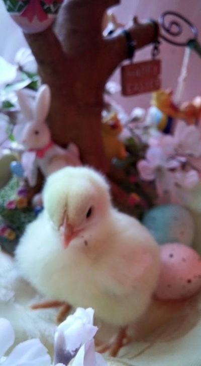 beat365亚洲体育官方网站